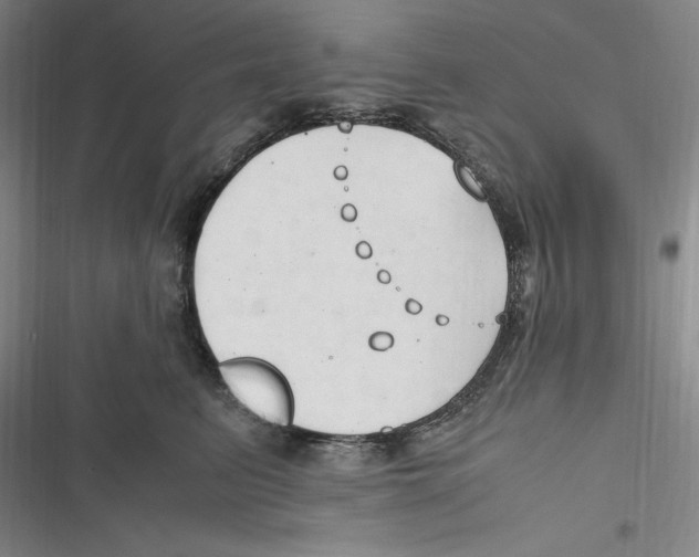 X0000116680615201001111333