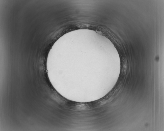 X0000116680616201001111333