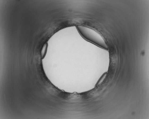 X0000116680617201001111333