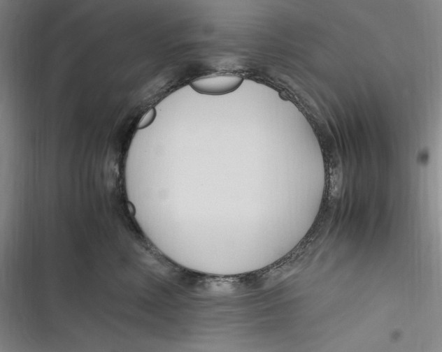 X0000116680618201001111333