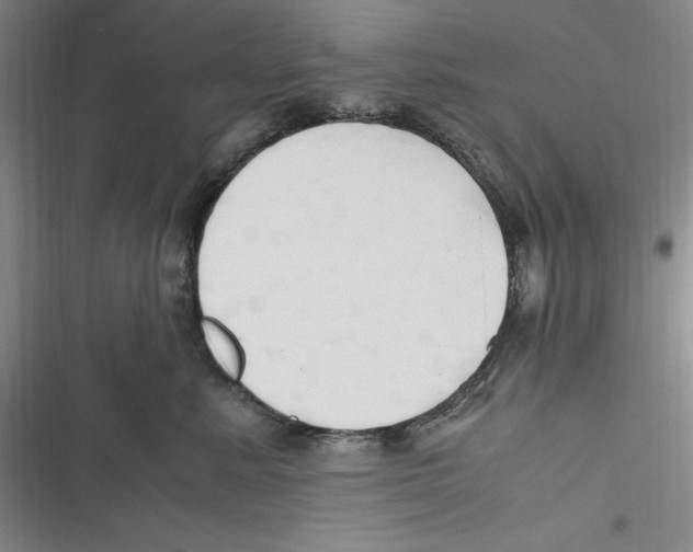 X0000116680619201001111333