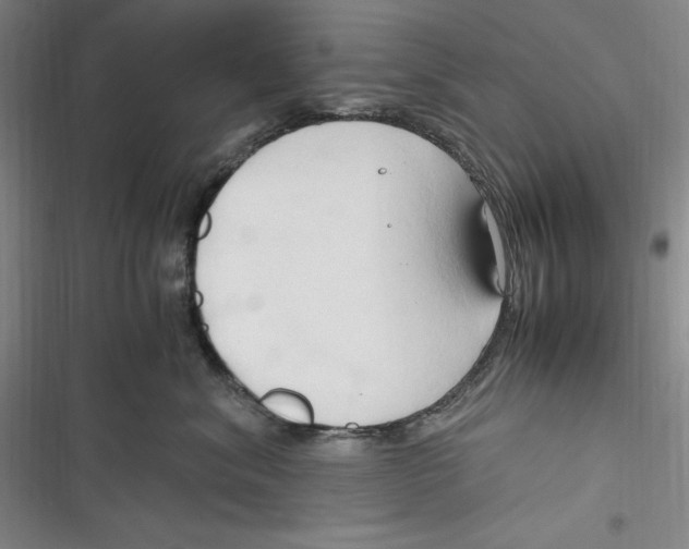 X0000116680620201001111333