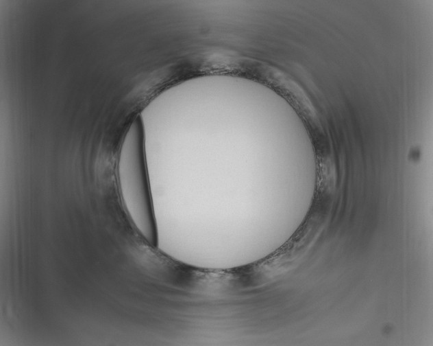 X0000116680621201001111333