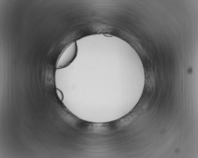 X0000116680622201001111333