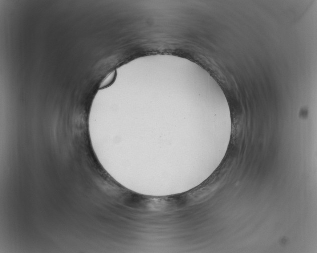 X0000116680623201001111333