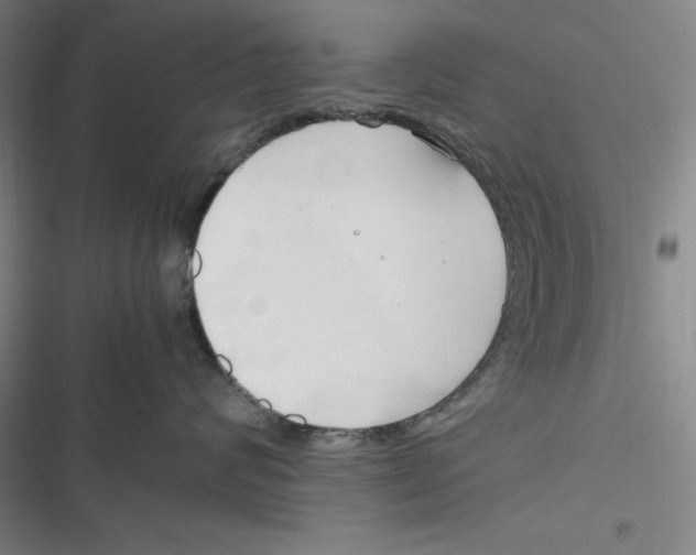 X0000116680624201001111333