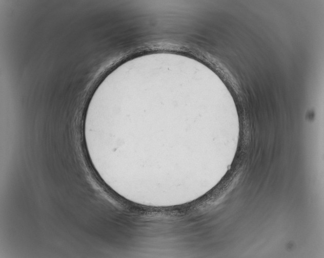 X0000116680625201001111332