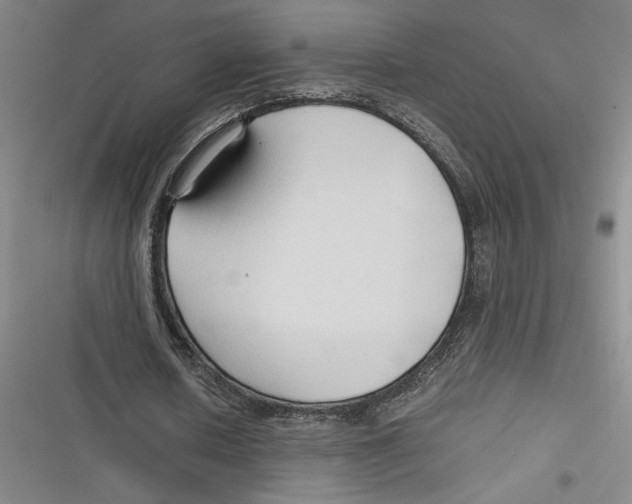 X0000116680626201001111332