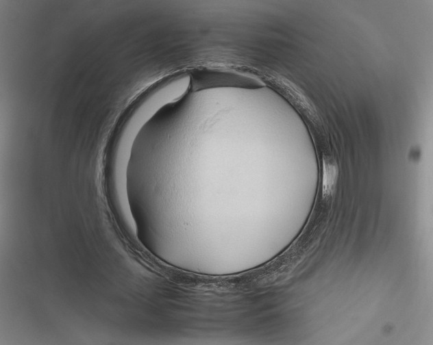 X0000116680627201001111332