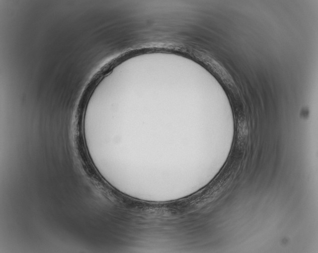 X0000116680628201001111332