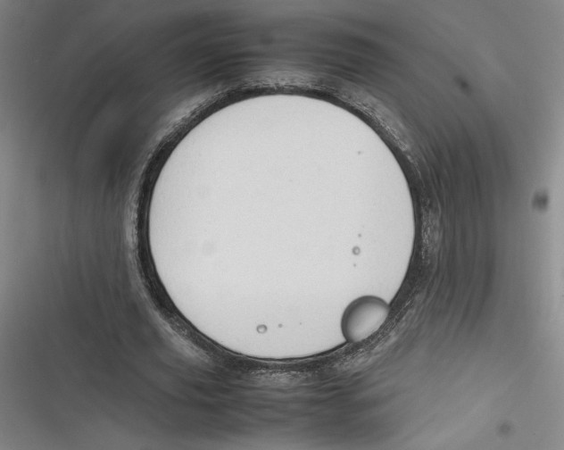 X0000116680629201001111332