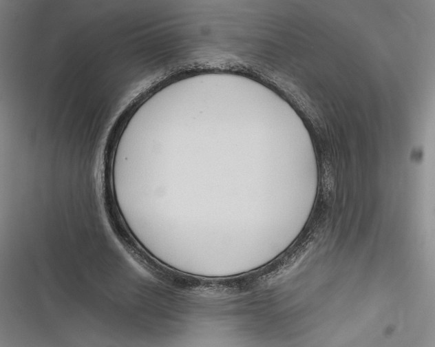 X0000116680630201001111332