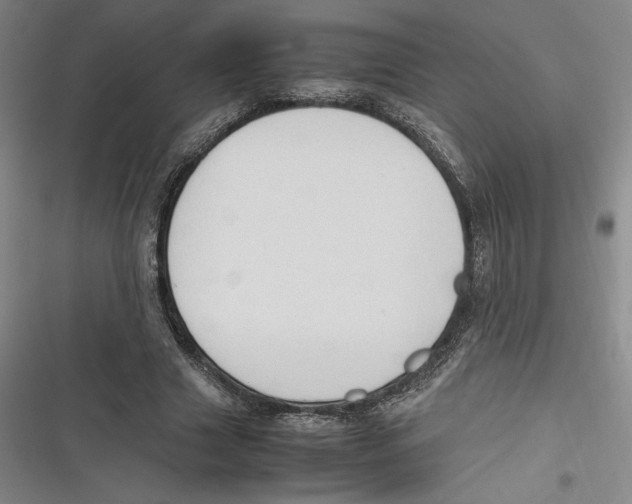 X0000116680633201001111332