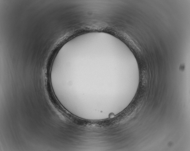 X0000116680634201001111332