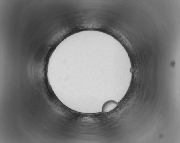 X0000116680635201001111332