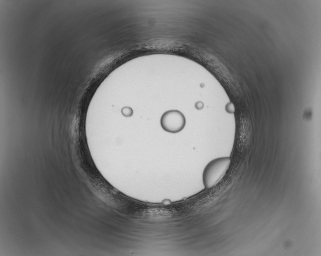 X0000116680636201001111332