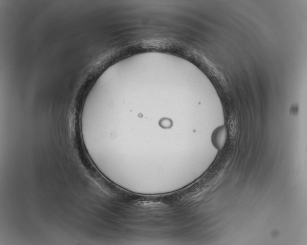 X0000116680637201001111332