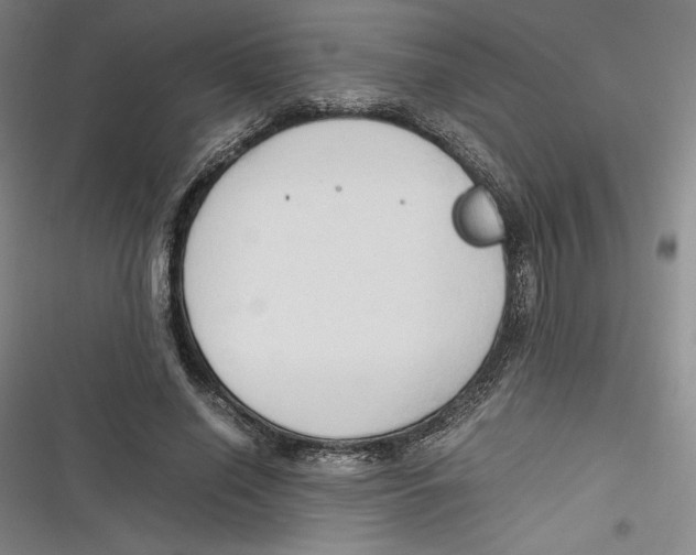 X0000116680638201001111332