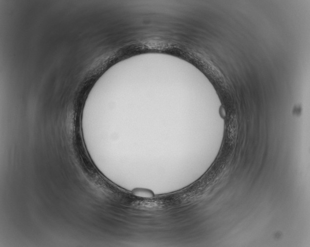 X0000116680639201001111332