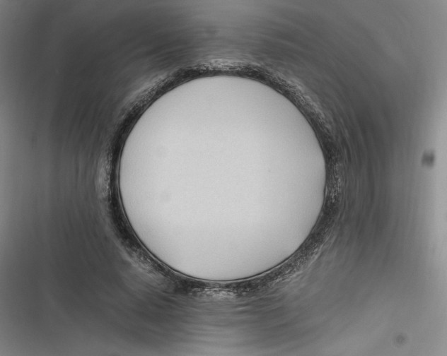 X0000116680640201001111332