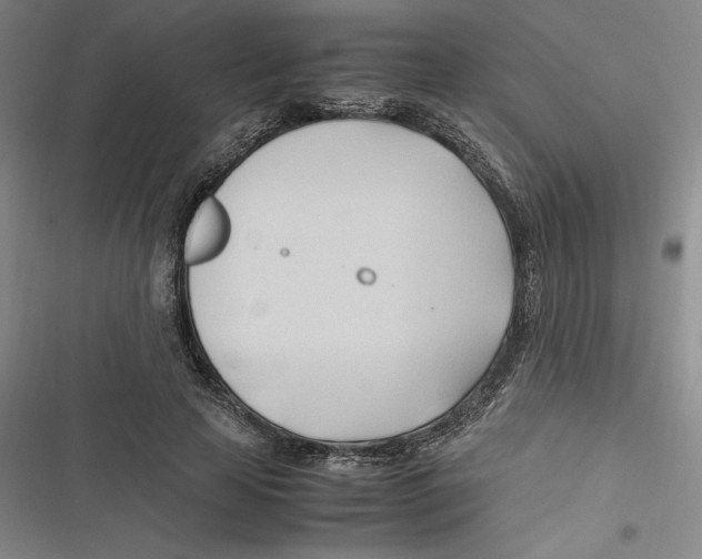 X0000116680641201001111332