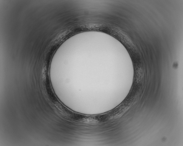 X0000116680644201001111332