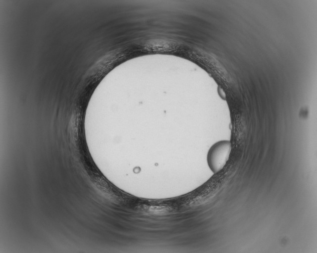 X0000116680645201001111332