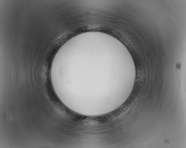 X0000116680648201001111333