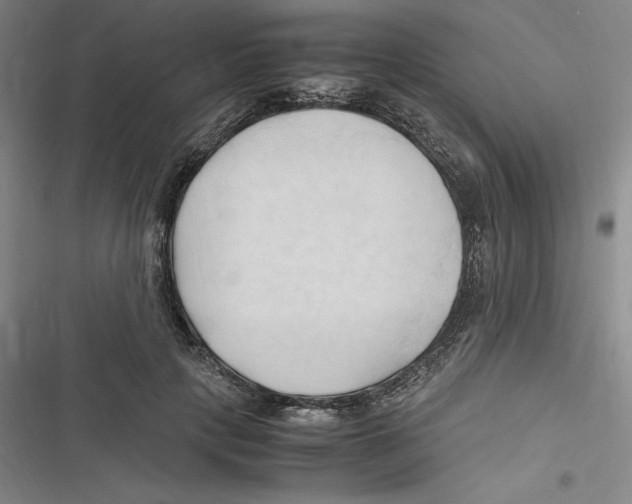 X0000116680649201001111333