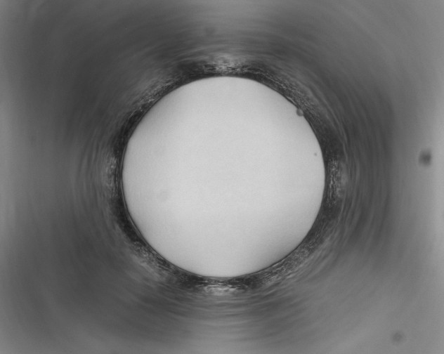 X0000116680650201001111333