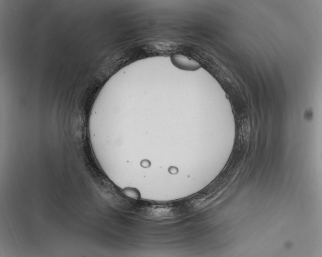 X0000116680651201001111333