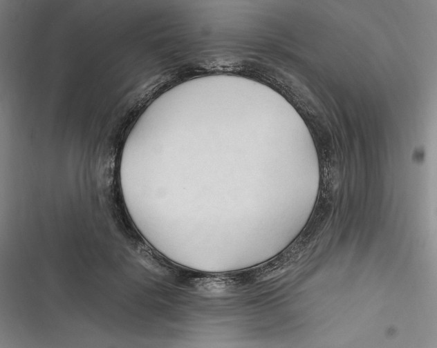 X0000116680652201001111333