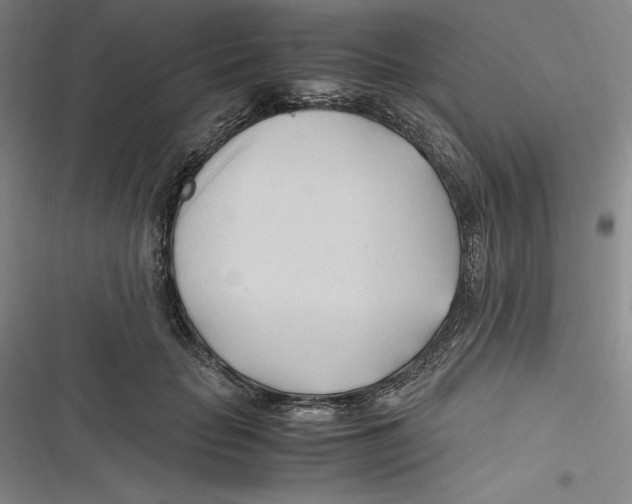 X0000116680653201001111333