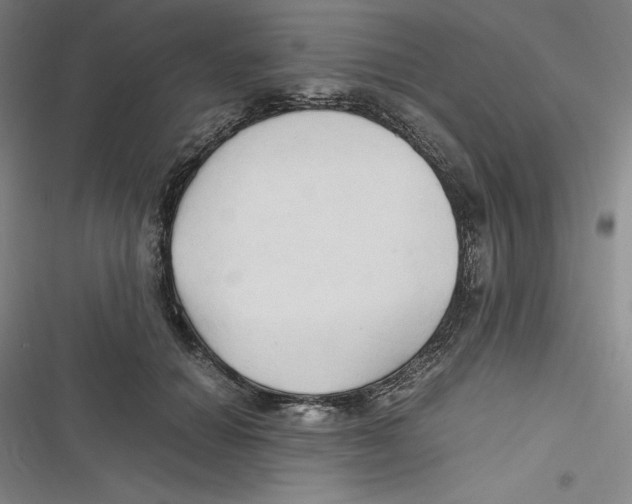 X0000116680654201001111333