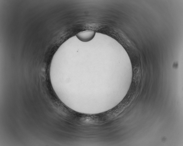 X0000116680655201001111333