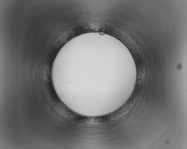 X0000116680656201001111333