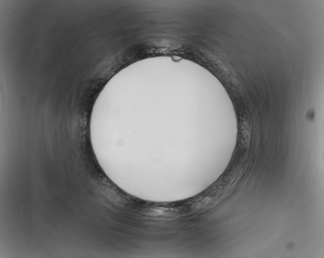 X0000116680657201001111333