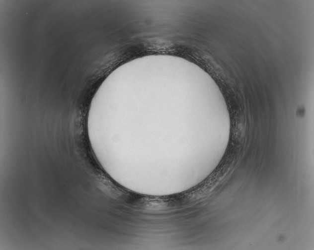 X0000116680658201001111333