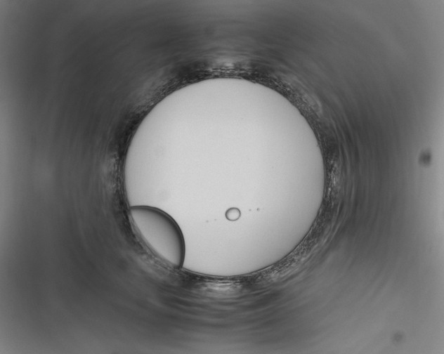 X0000116680659201001111333