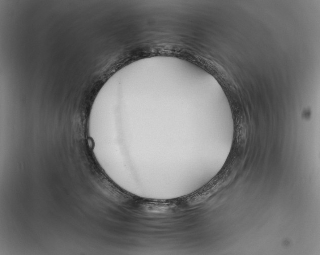 X0000116680661201001111333