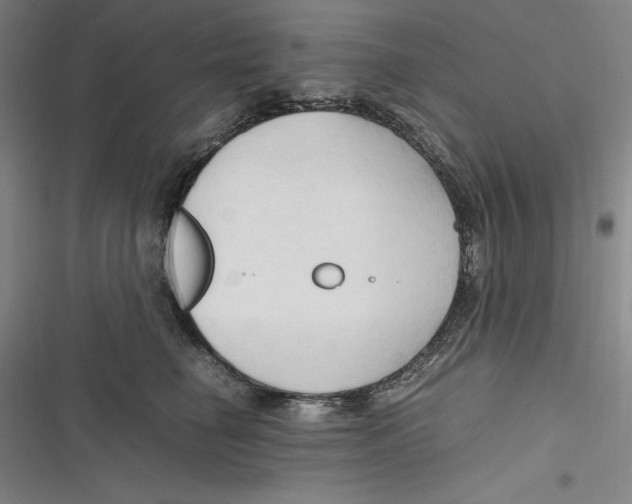 X0000116680662201001111333