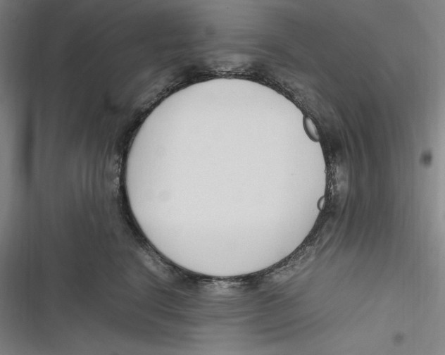 X0000116680664201001111333