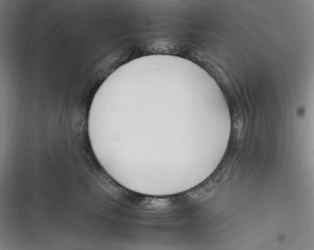 X0000116680665201001111333