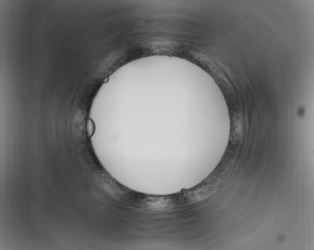 X0000116680667201001111333