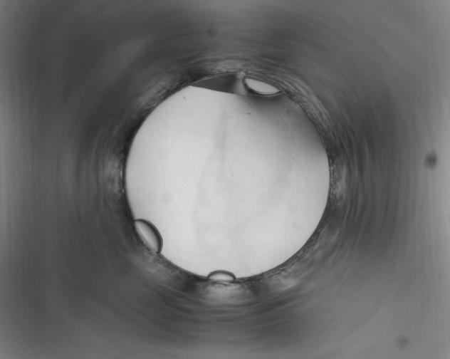 X0000116680669201001111333