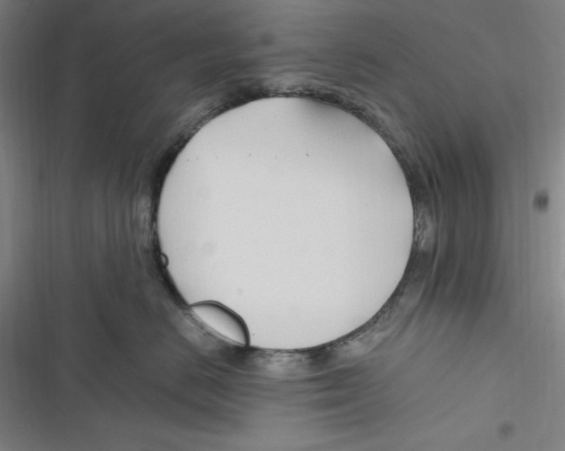 X0000116680670201001111333