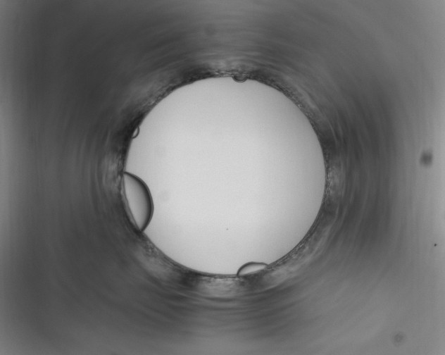 X0000116680671201001111333