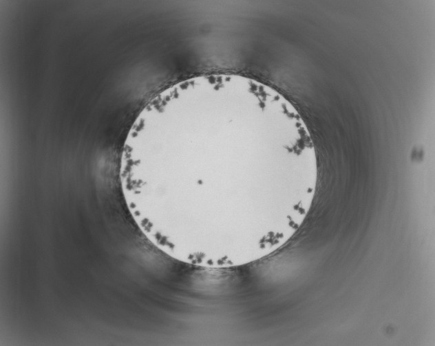 X0000116680672201001111333