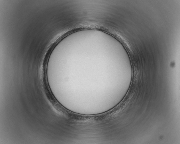 X0000116680674201001111332