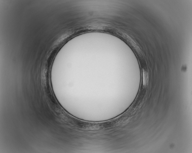 X0000116680675201001111332